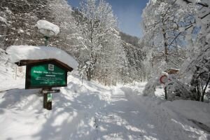winter-weissbach-